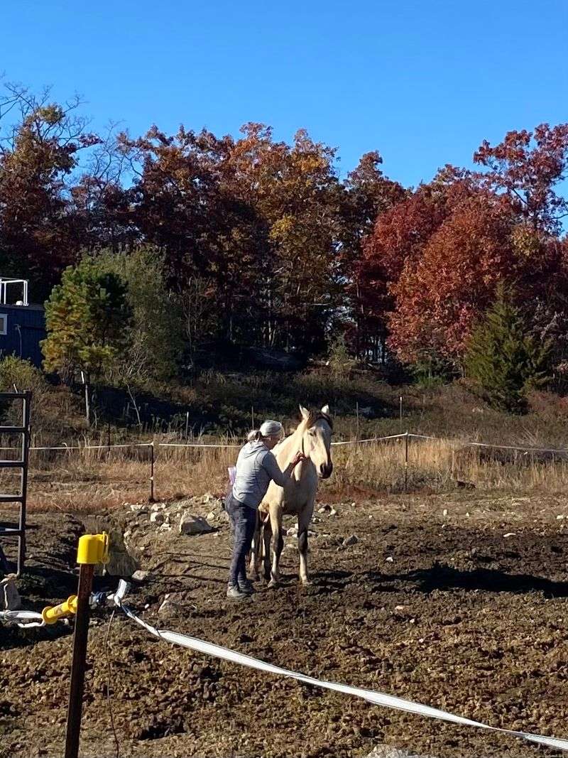 Mustang Training Classes With Real Hands-On Learning
