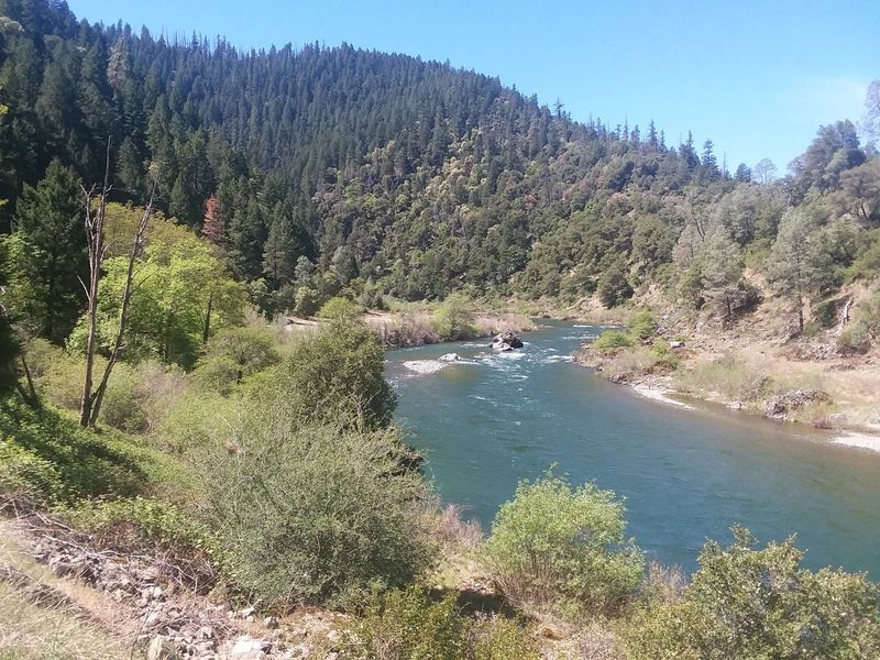 Trinity Alps Trails And Wildflowers