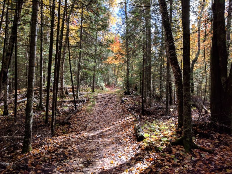 Stony Hill Nature Trail And Other Walks Worth Your Boots