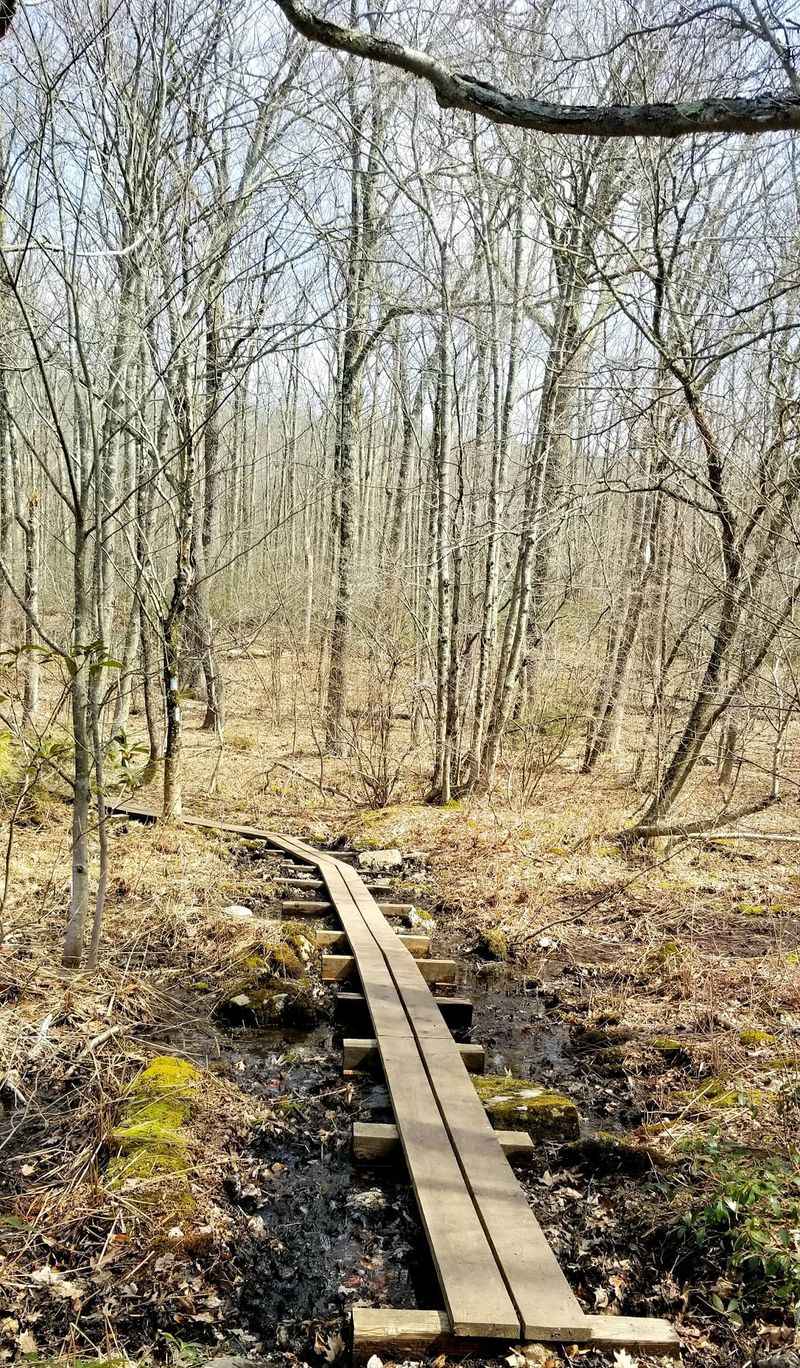 Finding The Turnoff On Blue Hill Road