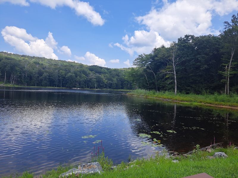Ponds, Paddling, And Fishing Spots