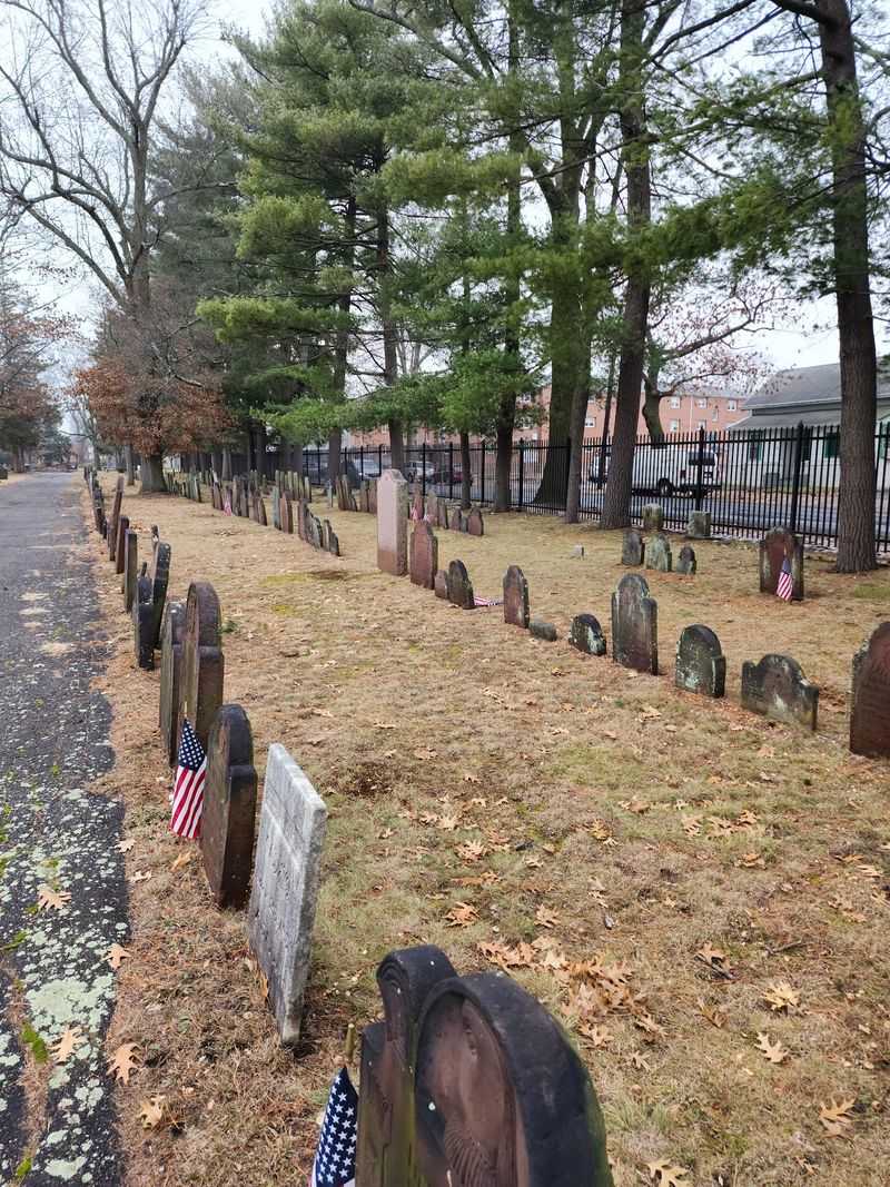 Springfield Cemetery, Springfield
