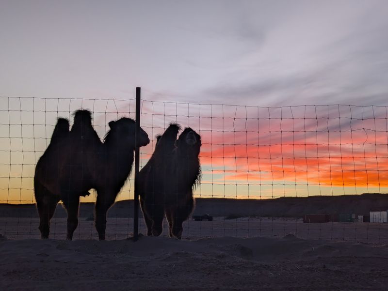 Sunset Campfires And Special Gatherings
