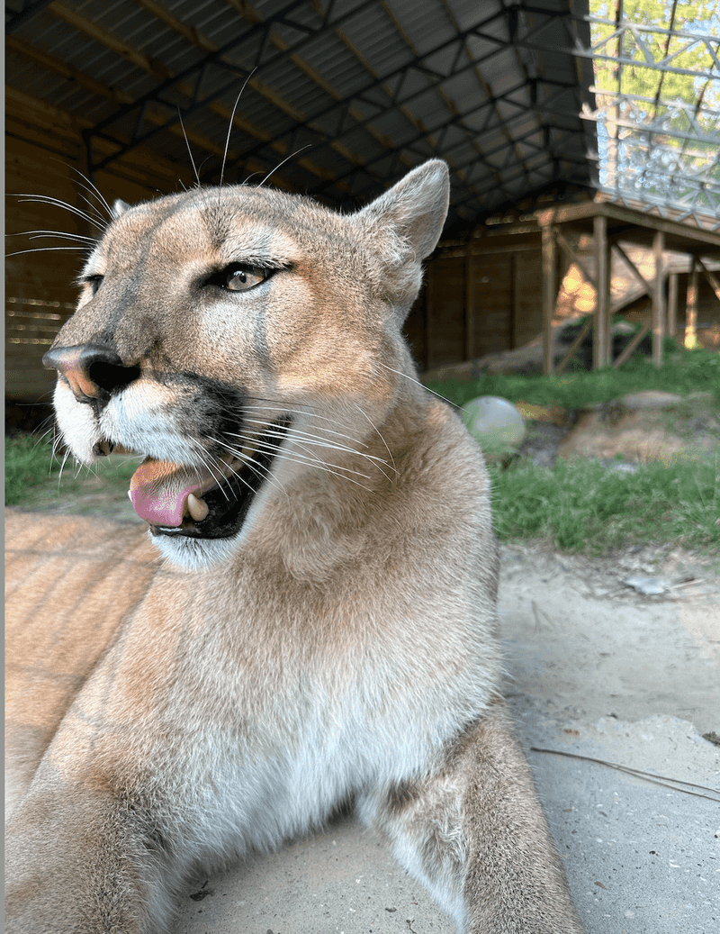 Sustainable Practices Maintaining Sanctuary Ecosystems