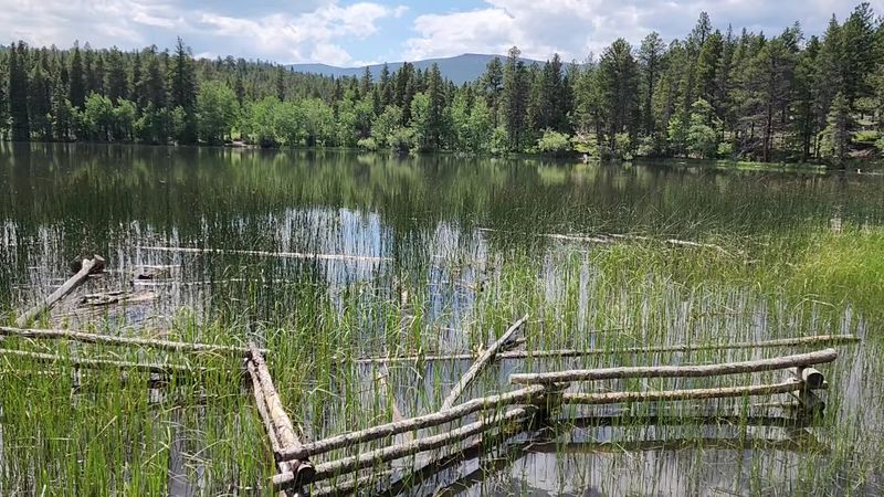 Mud Lake Open Space Trail, Nederland, Boulder County, Colorado