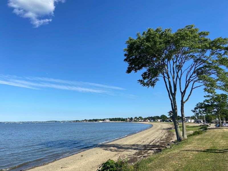 Wollaston Beach