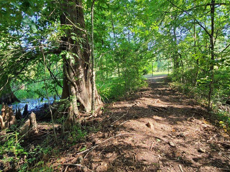 Trails Through A Hardwood Hush