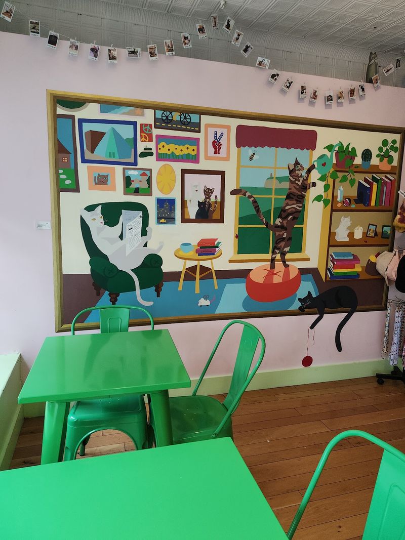 Beans Cat Cafe — 11 Church St, New Paltz, NY 12561