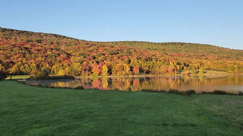 Allegany State Park Trails - Salamanca