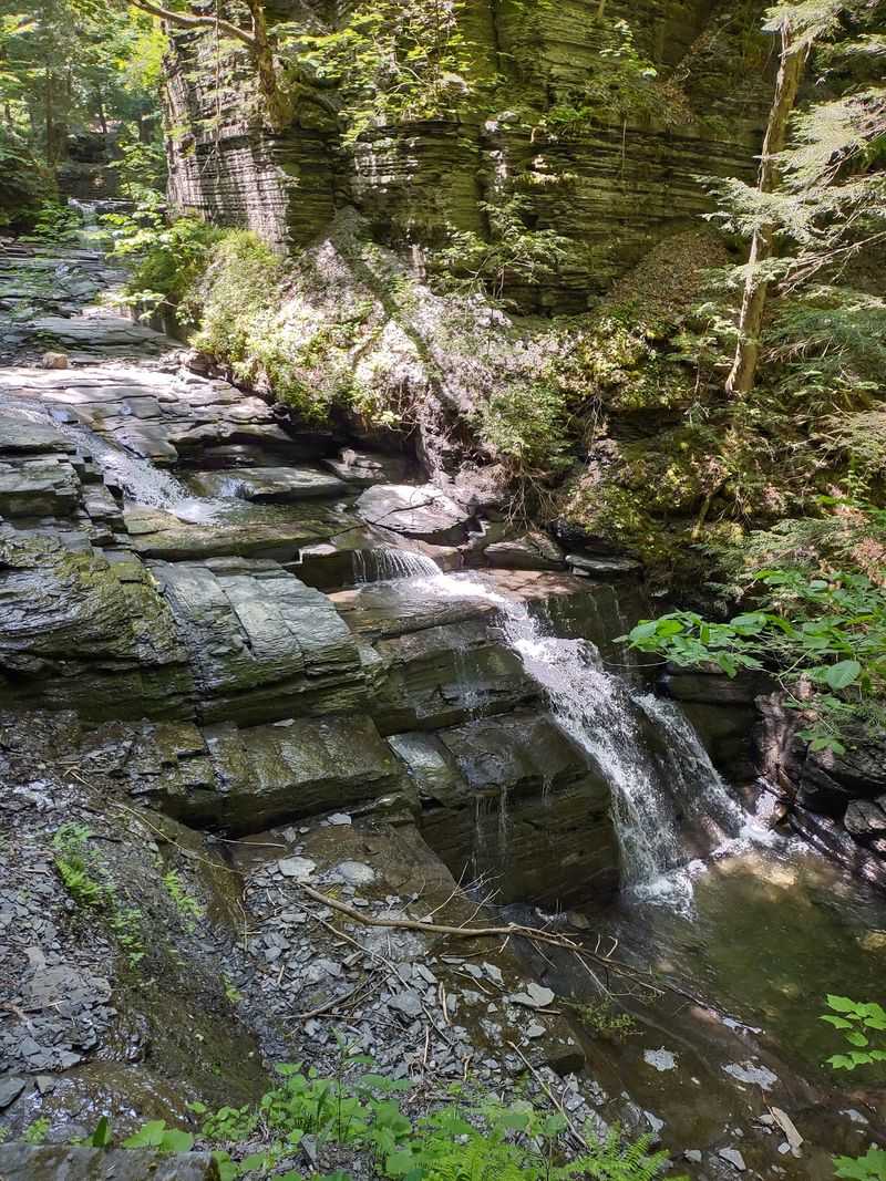 Fillmore Glen State Park Cabins - Moravia, NY