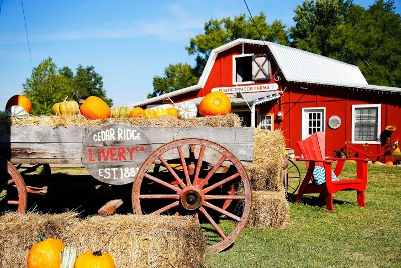 Pumpkin Patch Farms