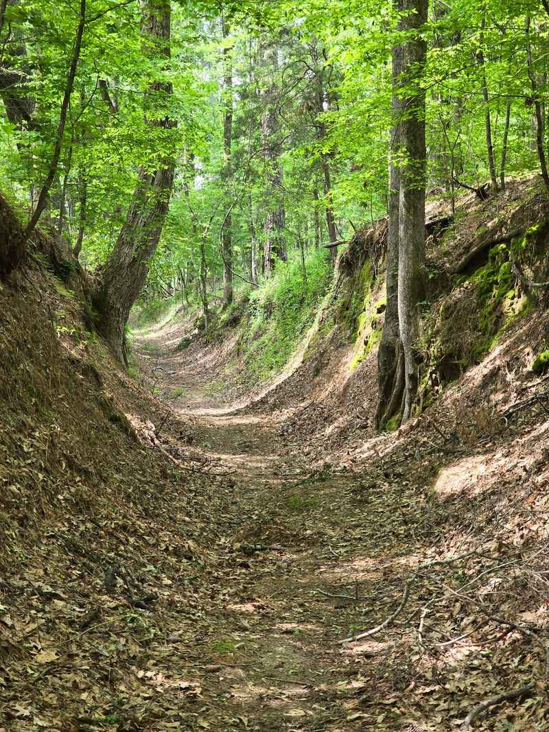 Potkopinu Section - Natchez Trace National Scenic Trail