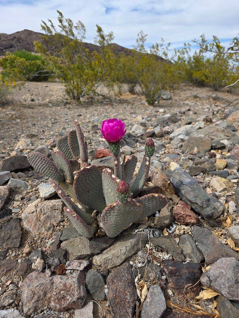 A Short Nature Trail Worth Strolling
