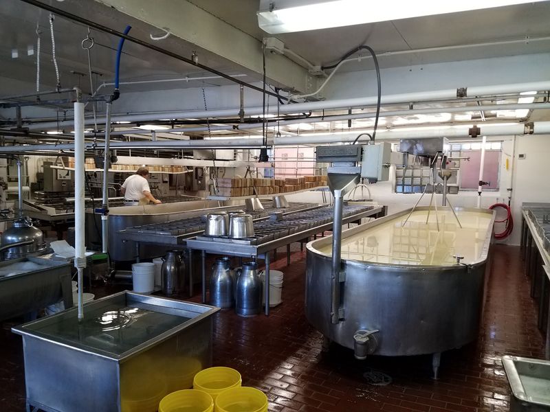 Squeaky Curds That Are Best The Day They Are Made