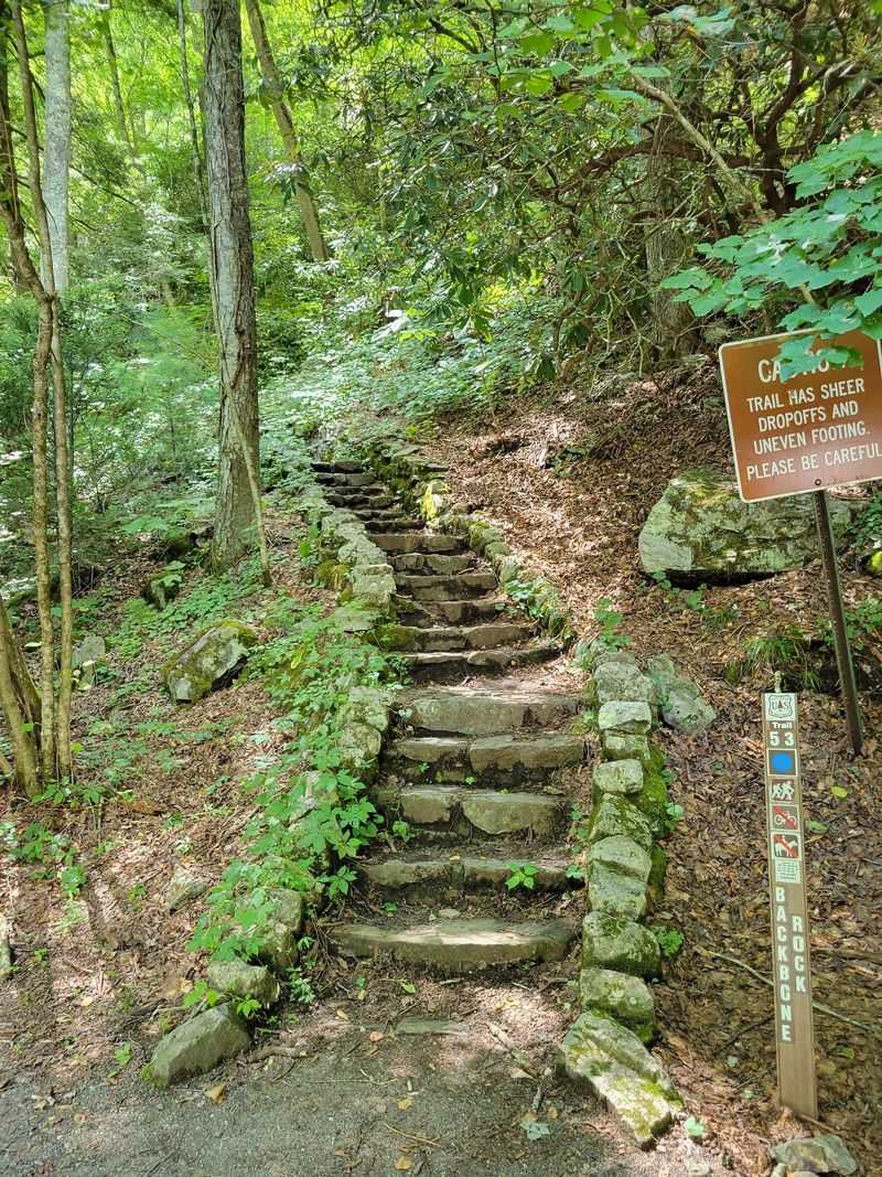 Backbone Rock And Its Cool Cascade