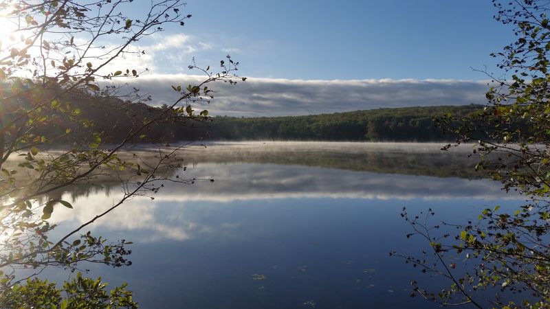 Surrounded By The Beauty Of The Monadnock Region