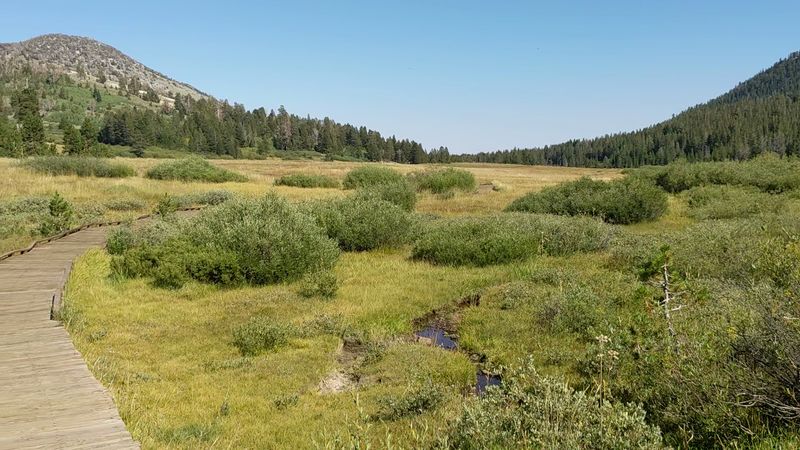 Granite, Landslides And Ancient Chaos
