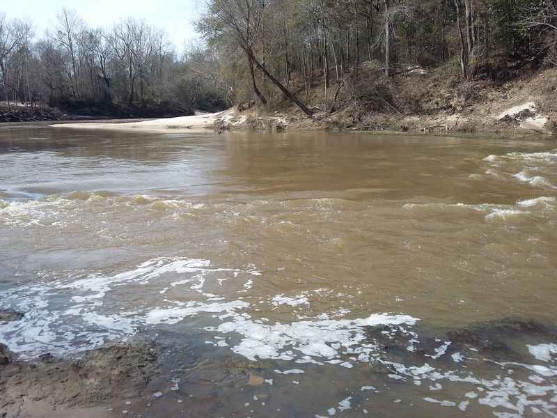 Leaf River