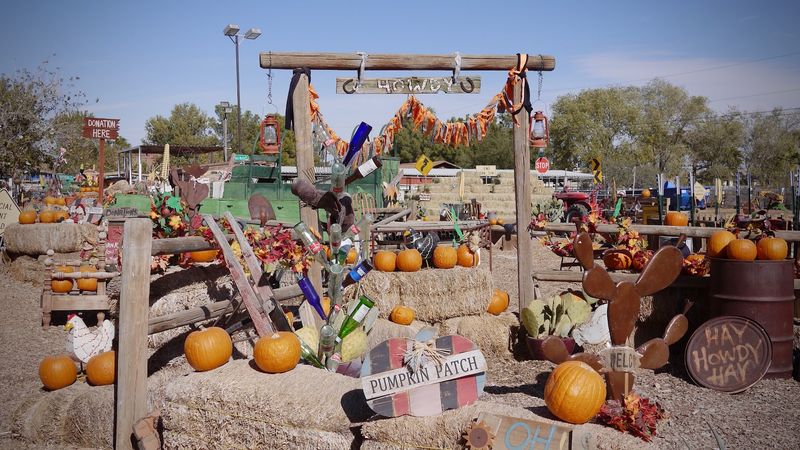 Fall Brings Pumpkins And A Corn Maze