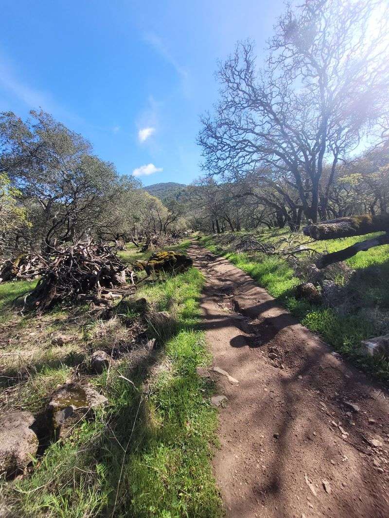 Trione-Annadel State Park