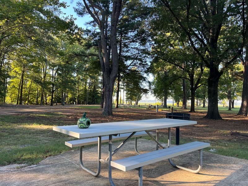 Hernando Point Campground