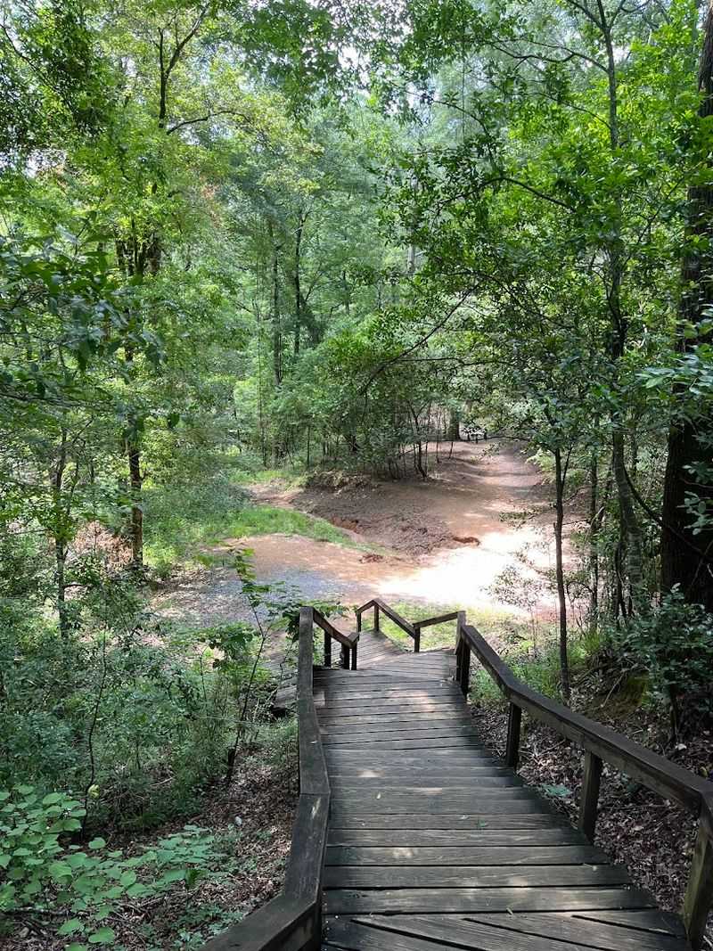 Trail Options For Every Level Of Brave