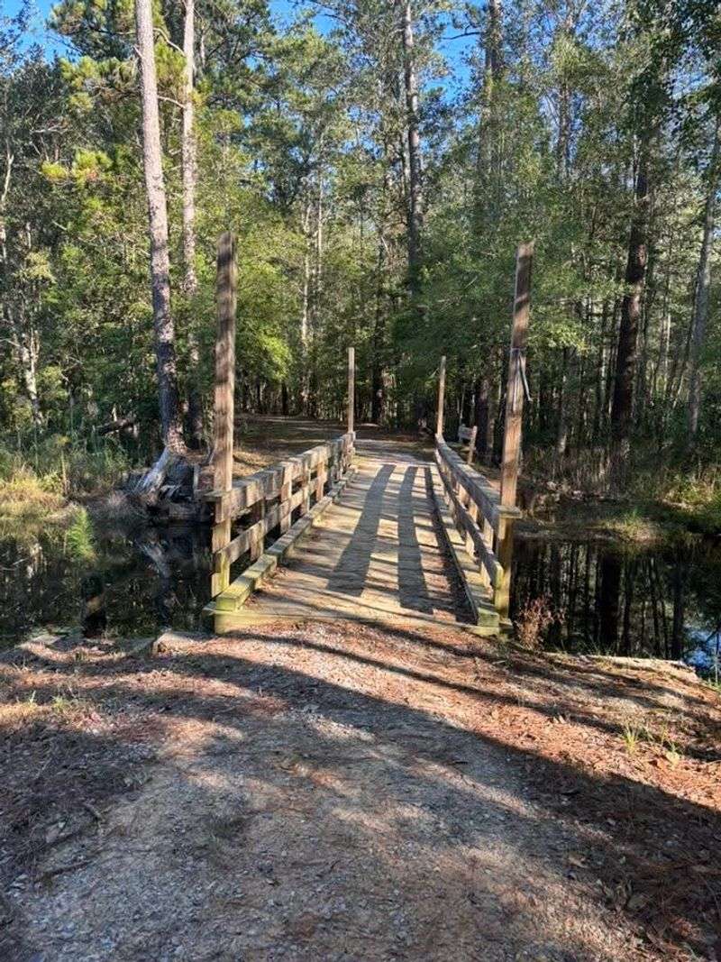 Miles Of Trail That Actually Deliver