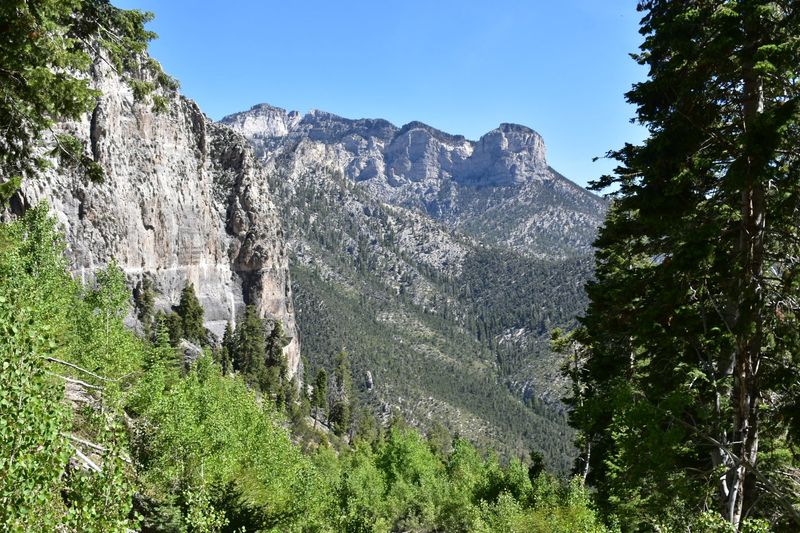 A Cool Mountain Escape Just Outside Las Vegas