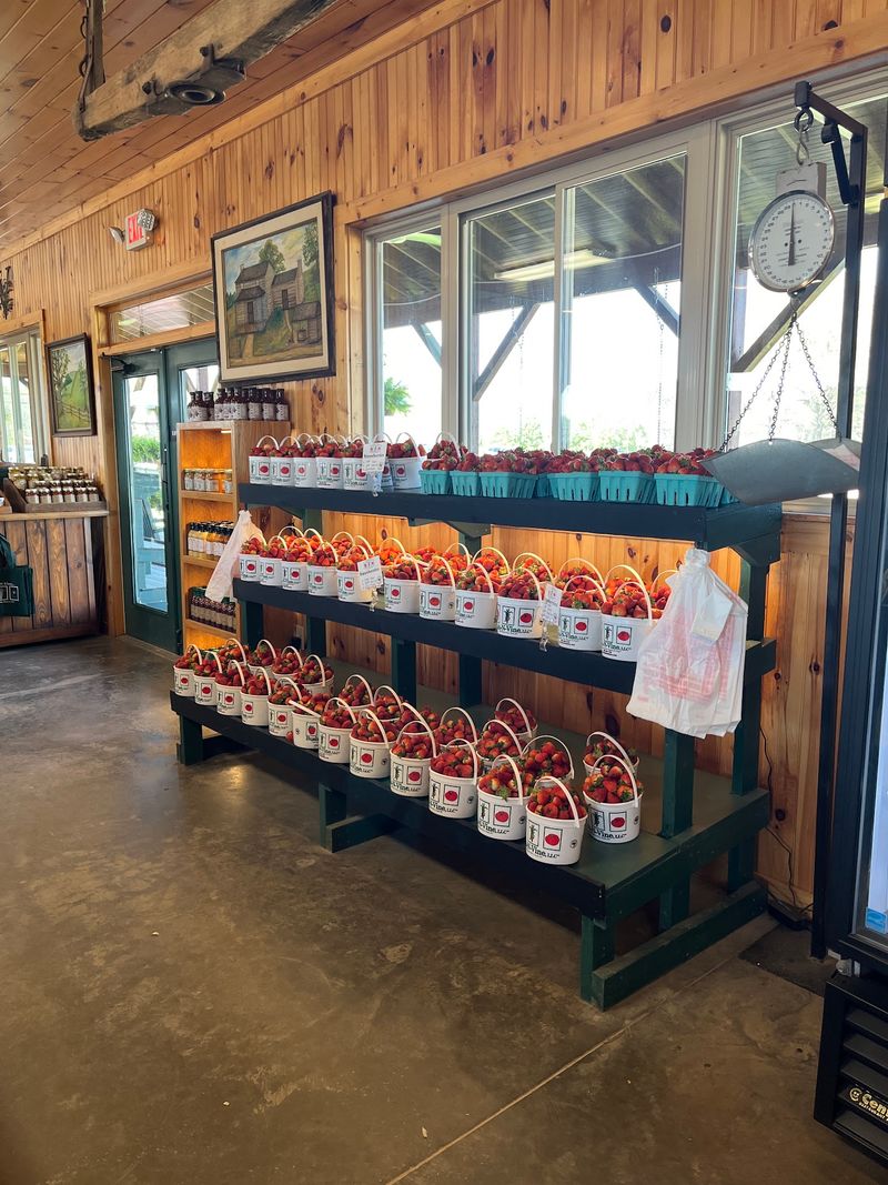 A Farm Market Stocked Like A Real Grocery Store
