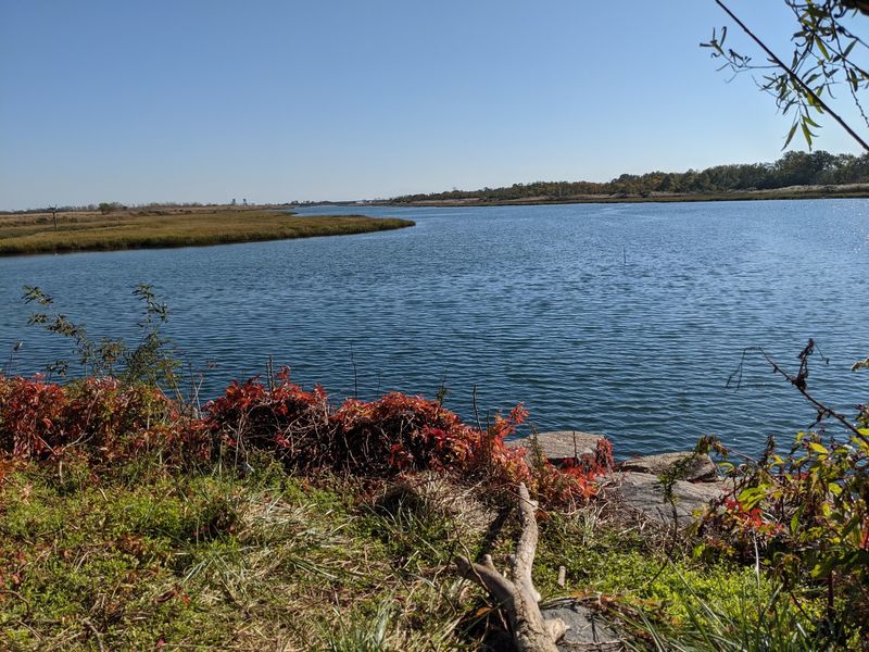 Marine Park - Brooklyn