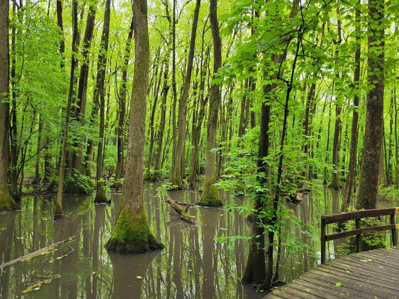 Wheeler National Wildlife Refuge (Decatur)