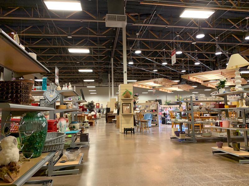 Housewares And Random Surprises