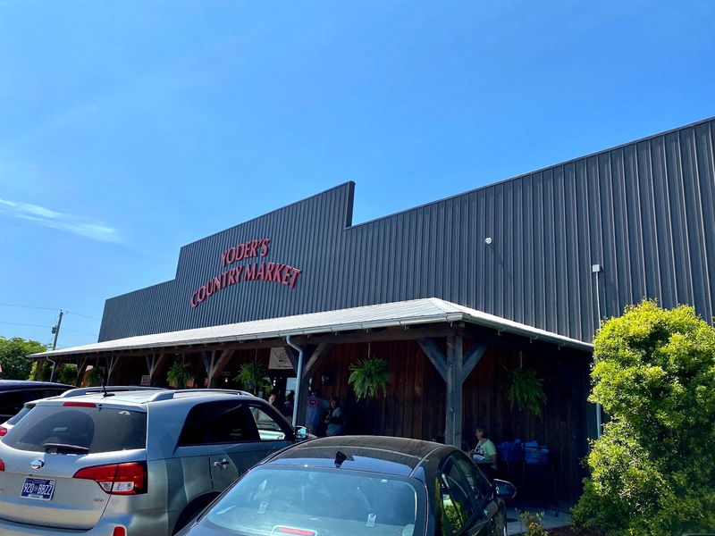 Discovering Authenticity On The Winding Roads