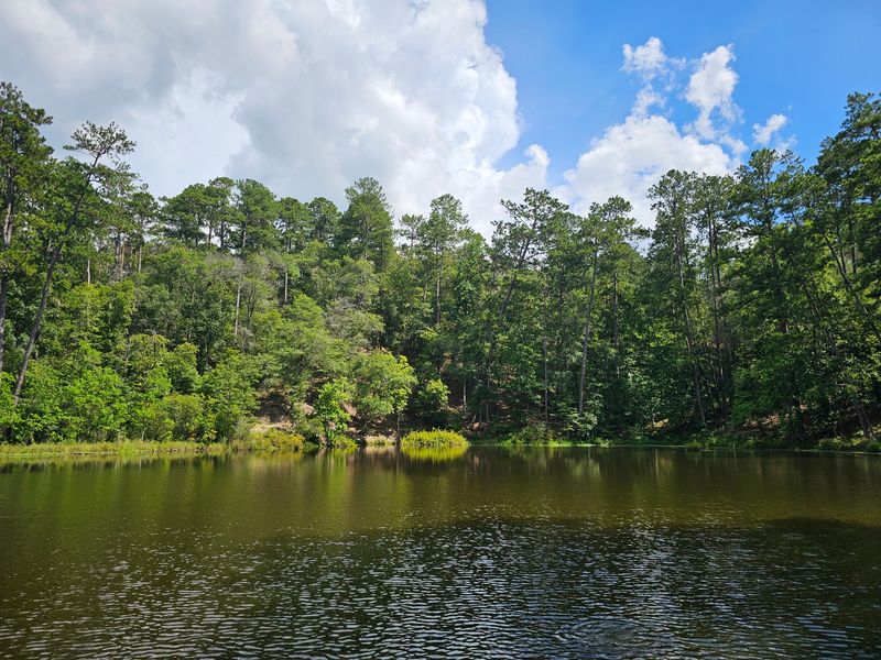 Photographing Natural Landscapes At Lakes