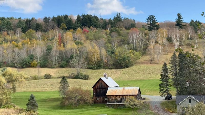Natural Landscapes Enhancing Visual Appeal