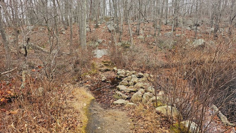 Walking Routes That Reveal Hidden Corners