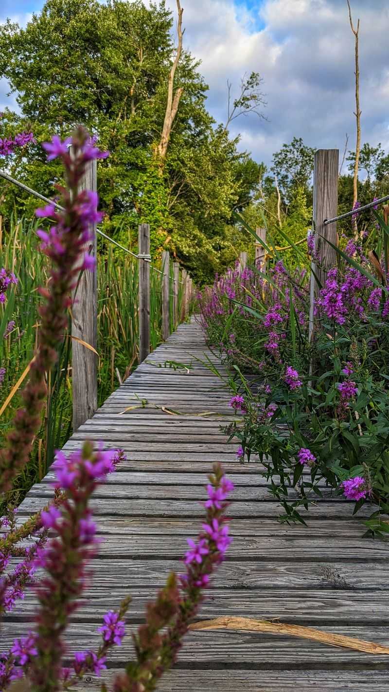 A Peaceful Escape Awaits