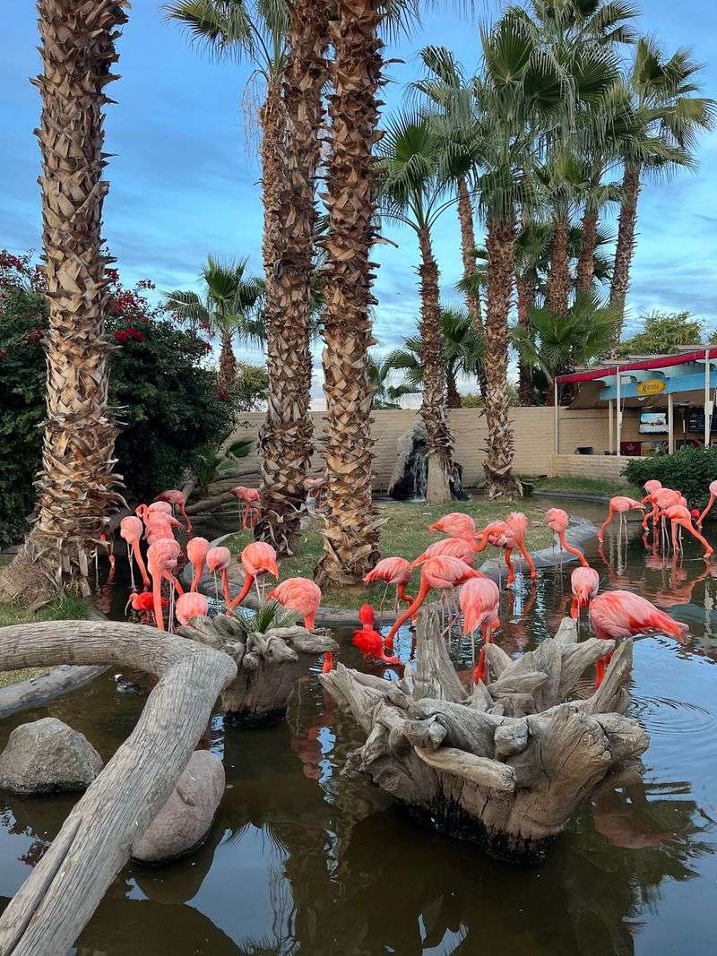 Up-Close Animal Encounters