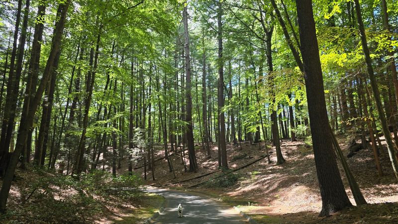 Explore Winding Trails