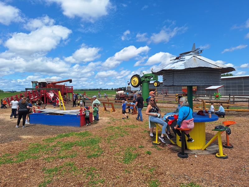 Let The Kids Loose On The Farm Playground