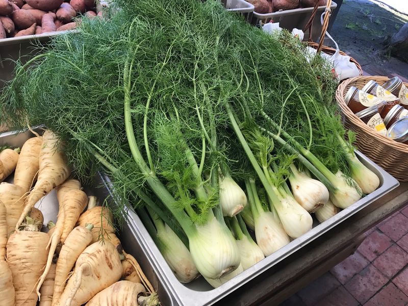 Vegetables You Cannot Name Yet