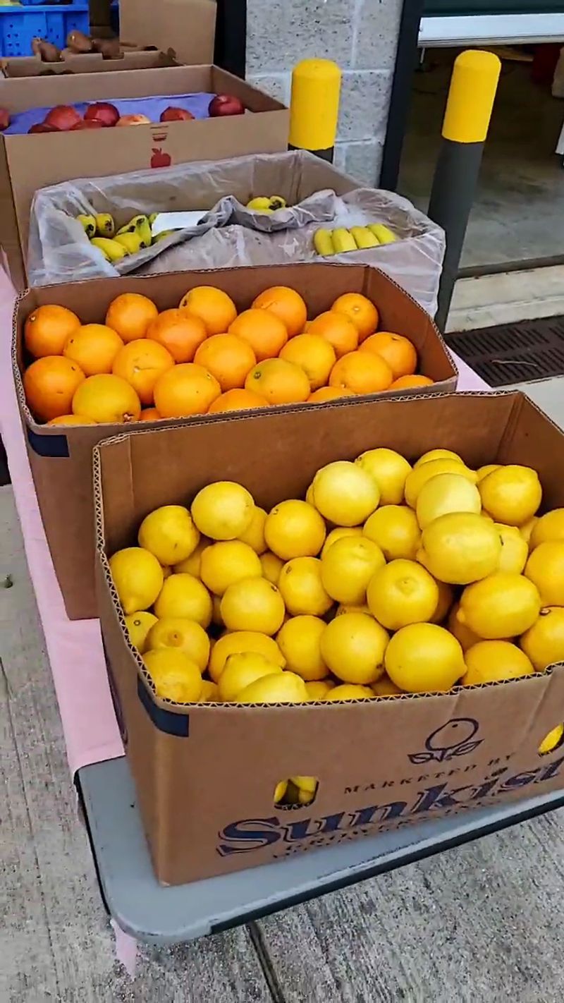 Nutritional Benefits Of Local Fruits