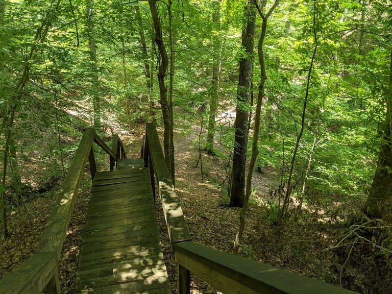 Four Trails, One Bluff, Zero Crowds