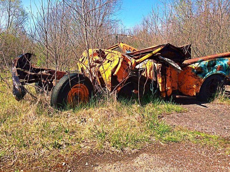 Preservation Efforts And Challenges Faced
