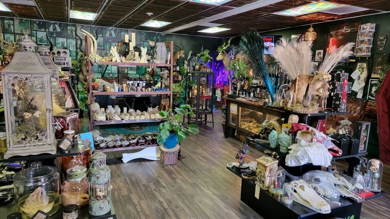 Handmade Art And Locally Crafted Pieces