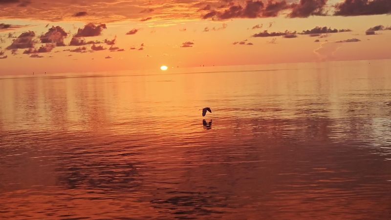 Coco Plum Beach, Marathon