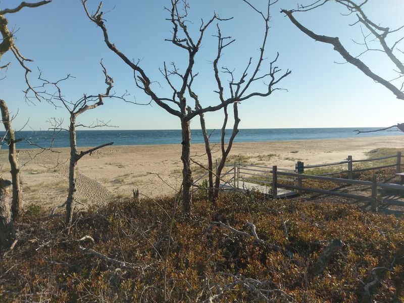 Chappaquiddick Island, Edgartown
