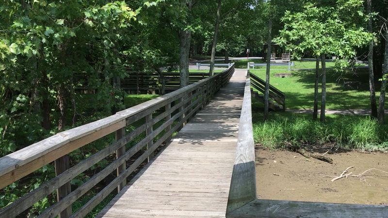 Bledsoe Creek State Park Observation Boardwalk, Gallatin