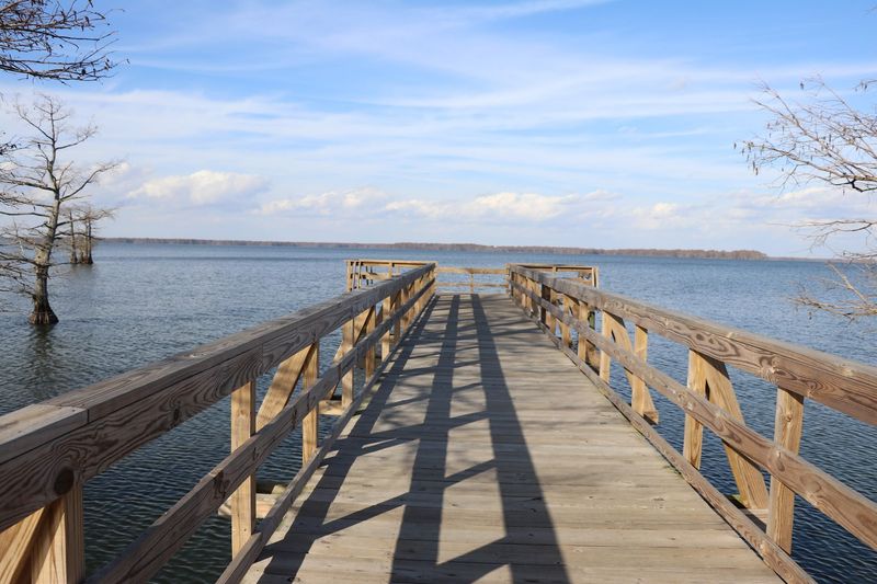 Around Thirty Species Share This Shoreline
