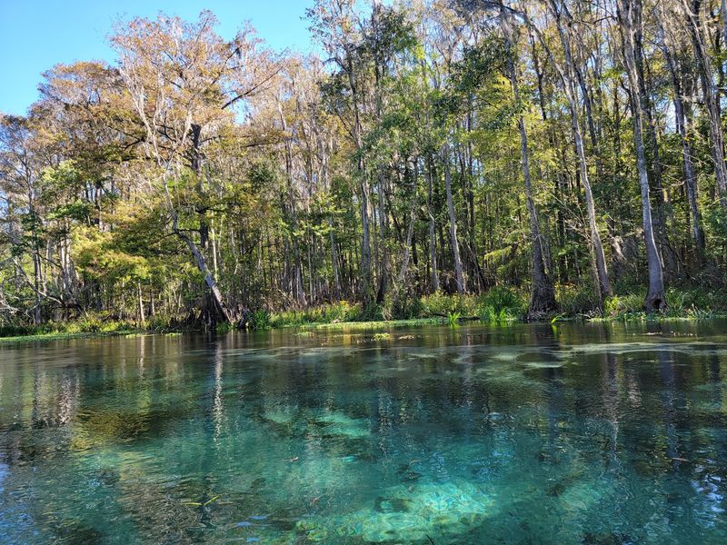 How The Park Keeps The Water Pristine